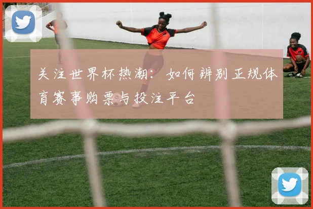 关注世界杯热潮：如何辨别正规体育赛事购票与投注平台