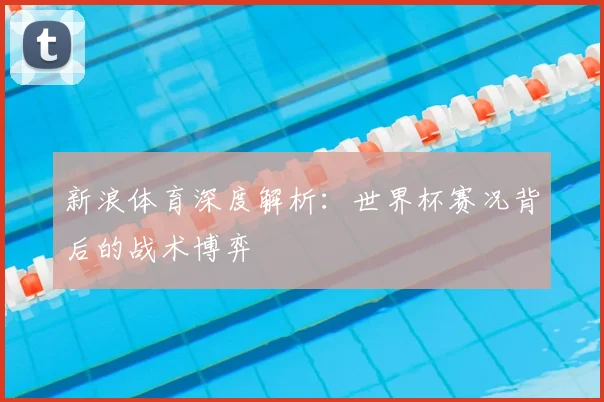 新浪体育深度解析：世界杯赛况背后的战术博弈
