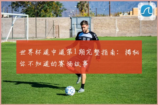 世界杯道中道第1期完整指南：揭秘你不知道的赛场故事