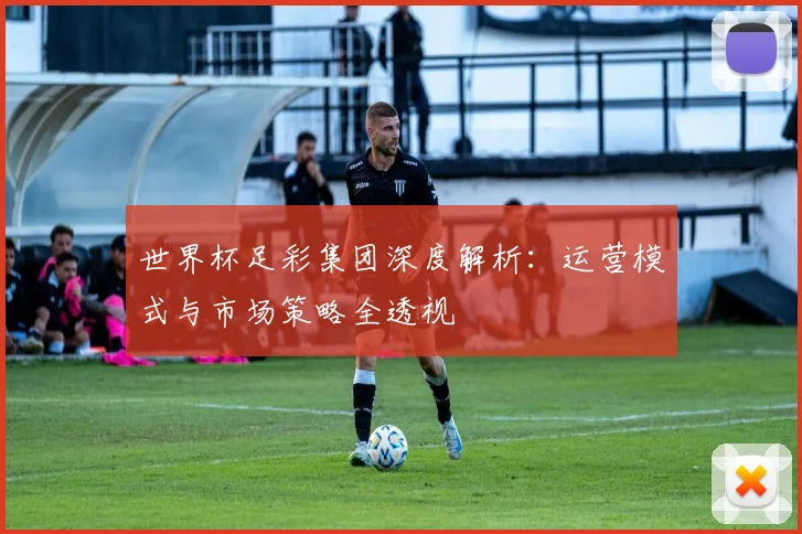世界杯足彩集团深度解析：运营模式与市场策略全透视