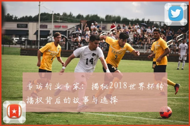 专访行业专家：揭秘2018世界杯转播权背后的故事与选择