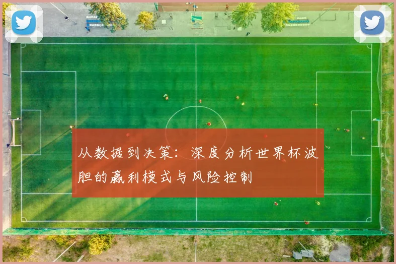 从数据到决策：深度分析世界杯波胆的赢利模式与风险控制
