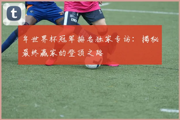 年世界杯冠军排名独家专访：揭秘最终赢家的登顶之路
